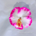 Handmade Foam Hibiscus Flower Hair Pick